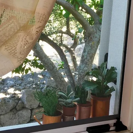 Country house La Casa Di Odyssey *